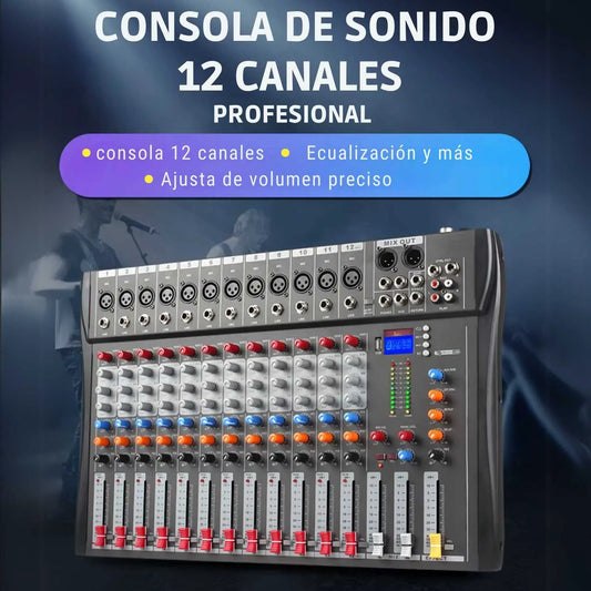 *CONSOLA DE SONIDO DE 12 CANALES PROFESIONAL T-S