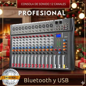 CONSOLA DE SONIDO DE 12 CANALES PROFESIONAL F-SN