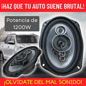 DOBLE ALTAVOZ (GT) PARA VEHICULOS DE 6X9 pulgadas F-S